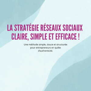 eBook : Le condensé d'une stratégie réussie sur les réseaux sociaux